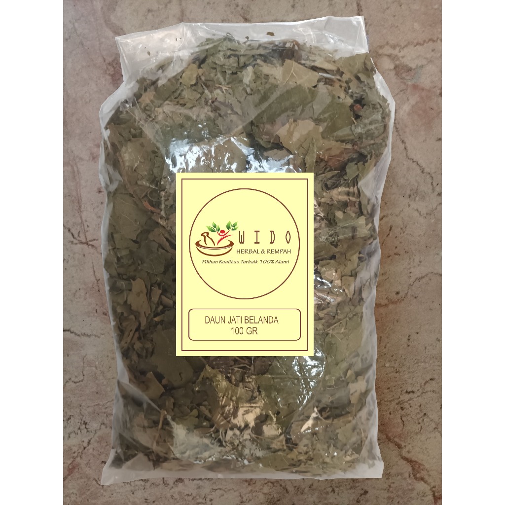 

Termurah Daun Jati Belanda 100 gr 100 gram