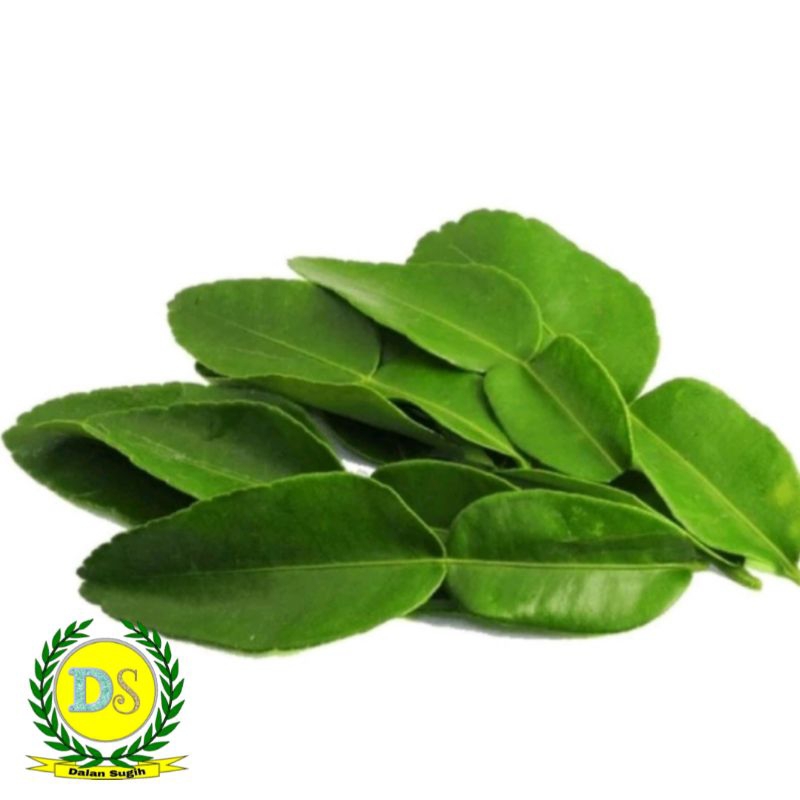 

Daun Jeruk Per Pack