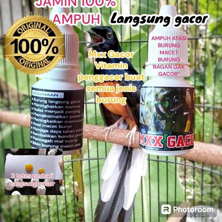 KODE O59J MXX GACOR  vitamin penggacor semua jenis burung cuma 1 hari 2x tetes terbukti nyata khasia