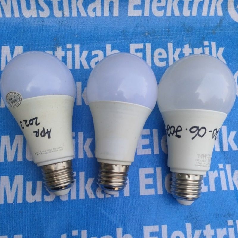 LED OFF(MATI) 12 WATT BULB