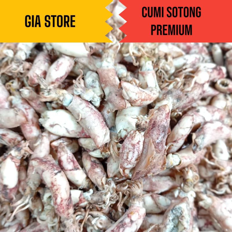 

IKAN ASIN SOTONG PREMIUM