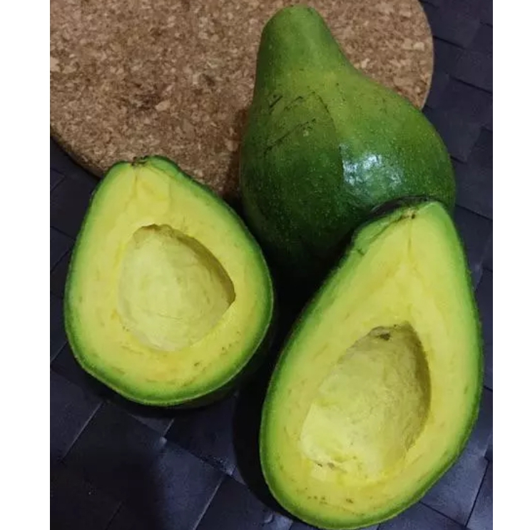 

Alpukat Mentega Chery Raja Alpukat Premium Bergaransi