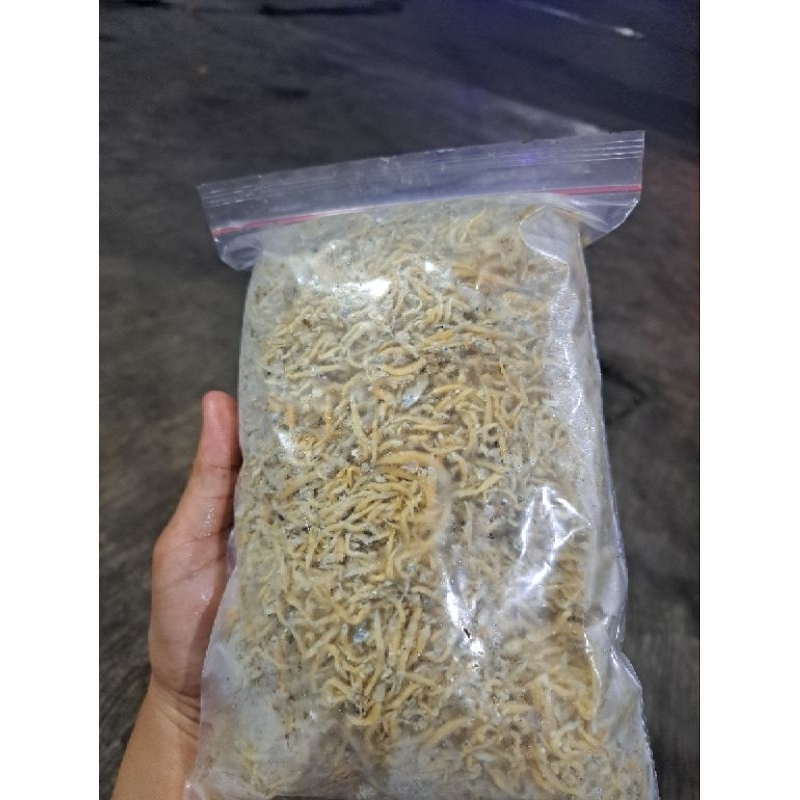 

TERI NASI KUNING 500GRAM