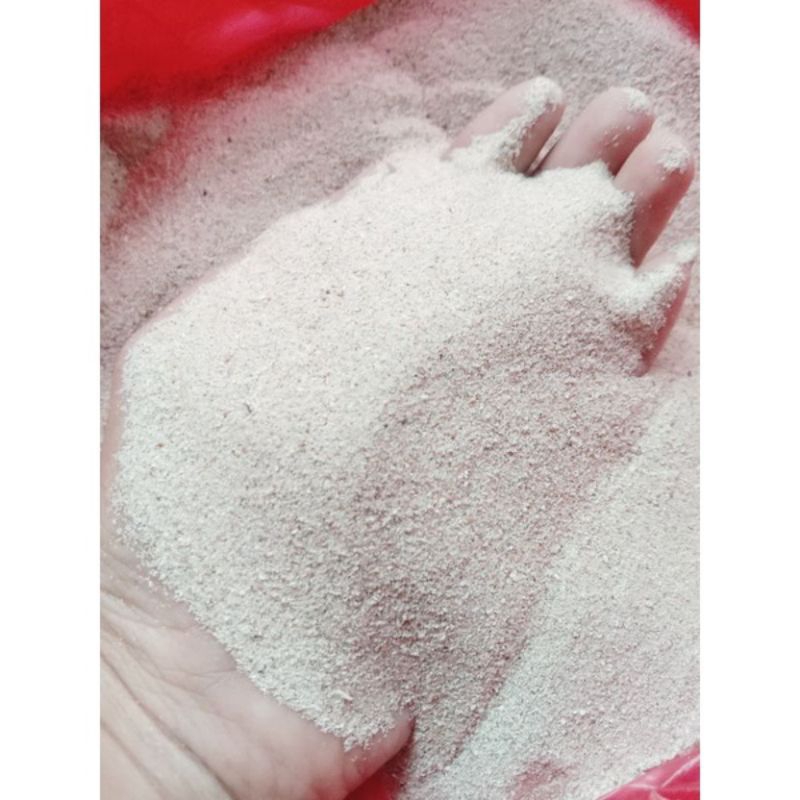 Pasir laut halus | 5 Kg | PROMO |