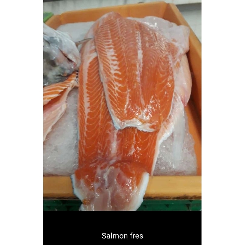 

salmon370.000/kg