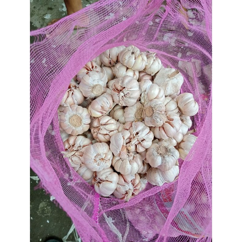 

bawang putih 1kg murah berkualitas