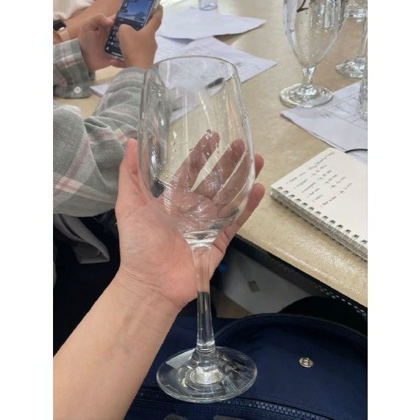 Red Wine Glass Polycarbonate Acrylic Gelas Akrilik Tebal Gelas Wine Anti Pecah Paling Murah Kualitas