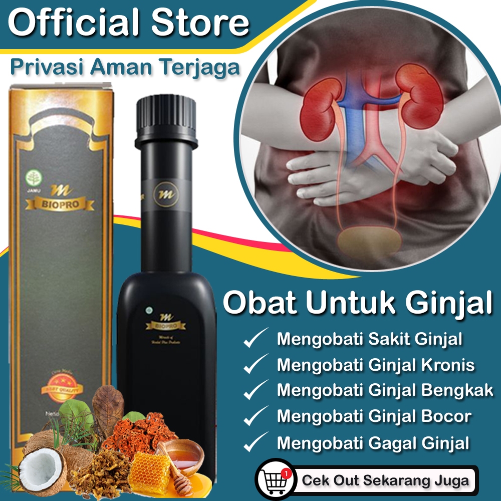 Obat Ginjal, Gagal Ginjal, Ginjal Bengkak, Ginjal Bocor, Infeksi Ginjal, Ginjal Kronis, Penghancur B