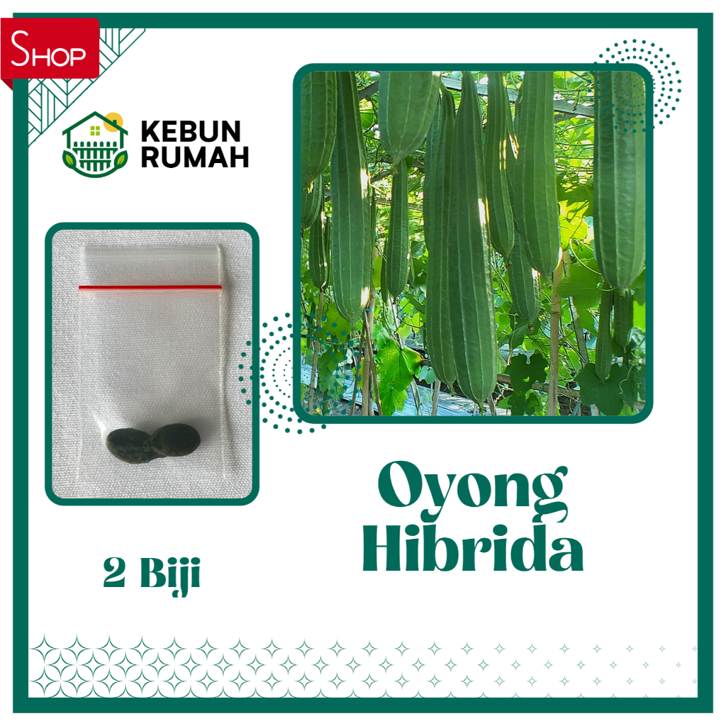 Benih Oyong Grandia 2 Bibit Biji Gambas Eceran Seribuan Unggul F1 Hibrida Sayur Sayuran Panjang