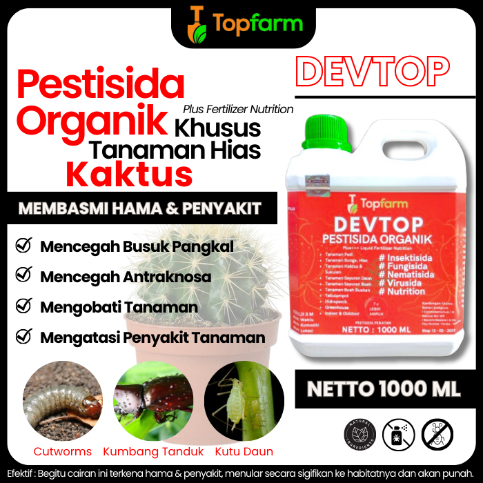 Obat Kaktus Dan Sukulen / Obat Untuk Kaktus Sukulen / Obat Penyubur Kaktus / Obat Kaktus Sukulen / O