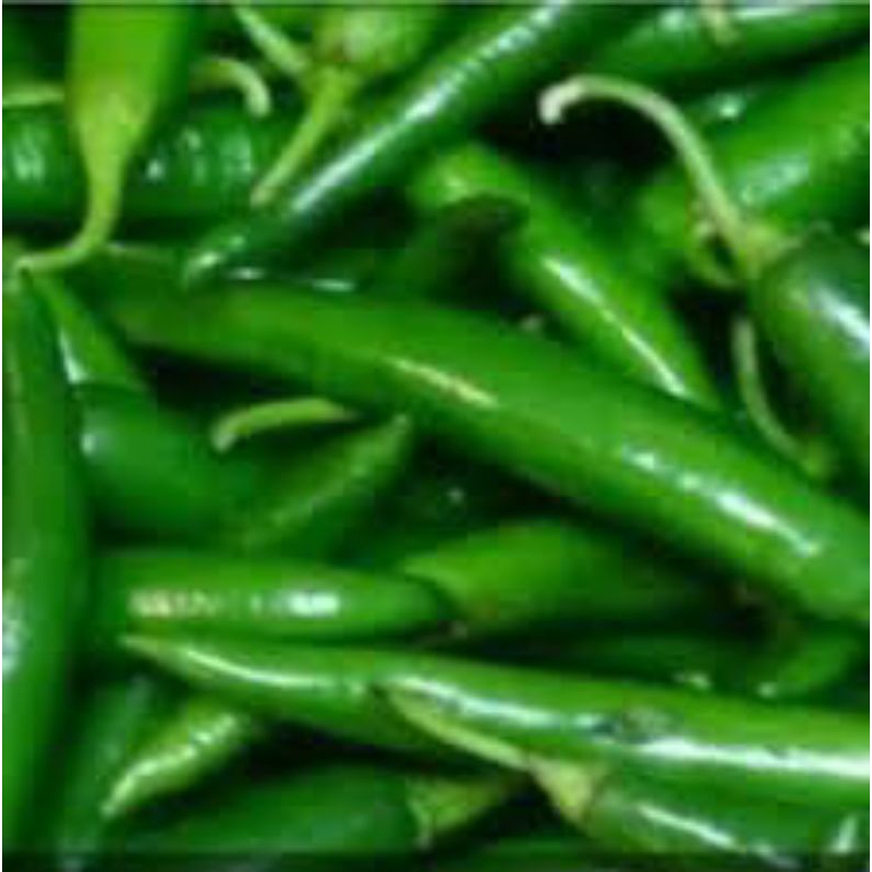 

cabe hijau besar 250gram