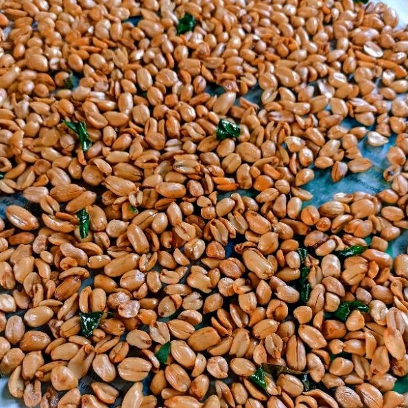 

Kacang Gawil Mix Daun Jeruk Fresh/Kacang Goreng Enak Gurih Renyah 2 Kg