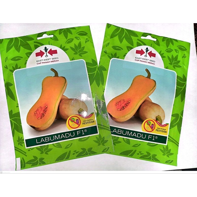 Benih Labu Madu Sp (10 Btr) - Panah Merah