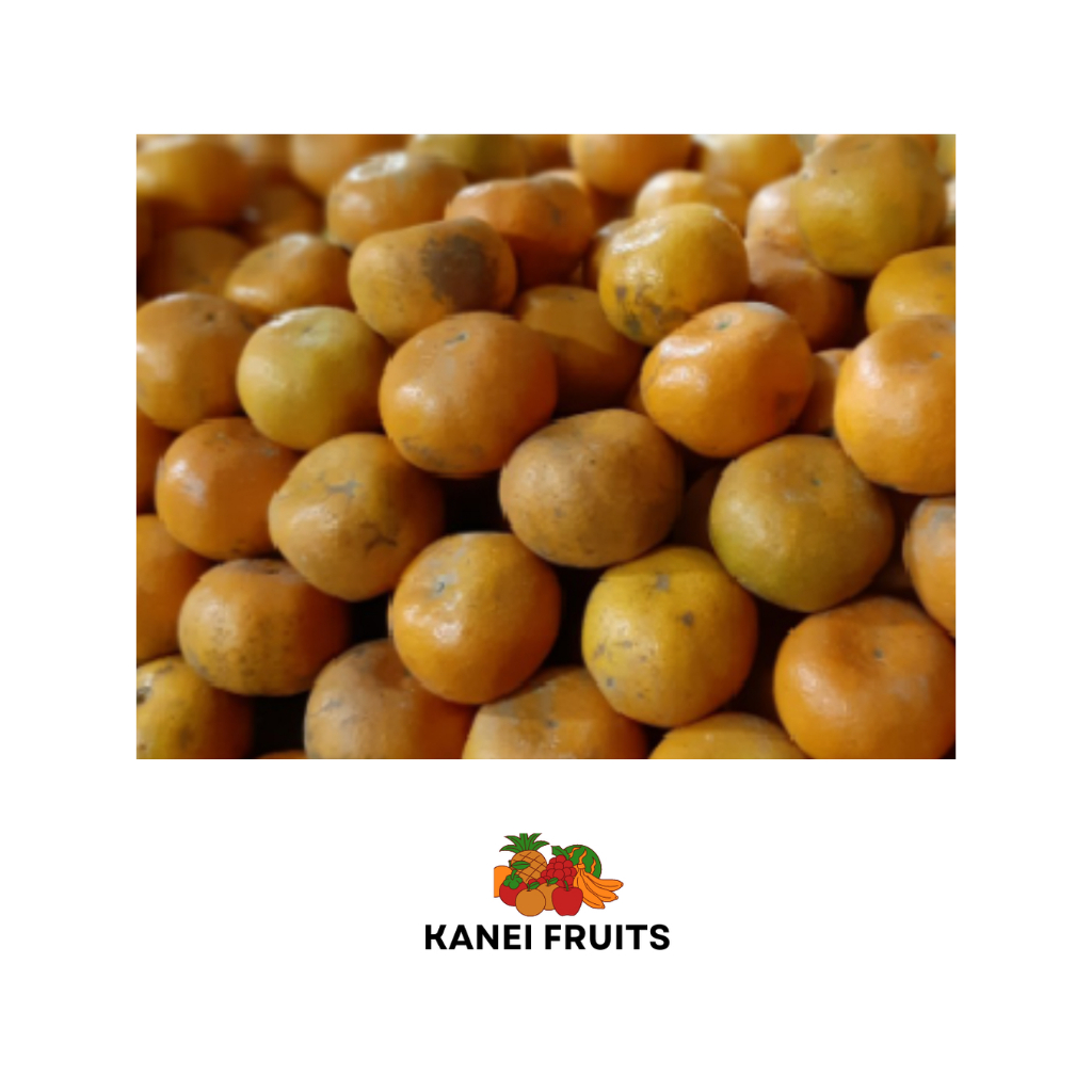 

JERUK MEDAN BRASTAGI 1 KG ++