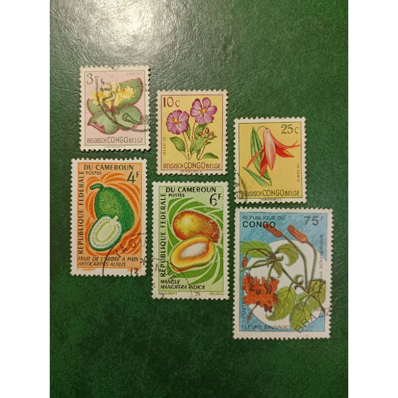 

Prangko Kongo & kamerun 6 Pcs Campur USED