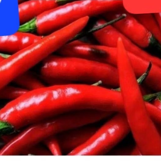 

Cabe Merah Besar 500 gram