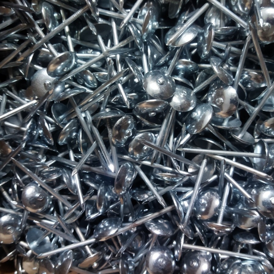 Paku Seng / Paku Payung