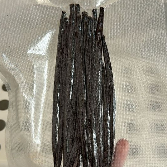 

Gourmet Grade A 50 gr Vanili Kering Vanilla Beans Planifolia Premium