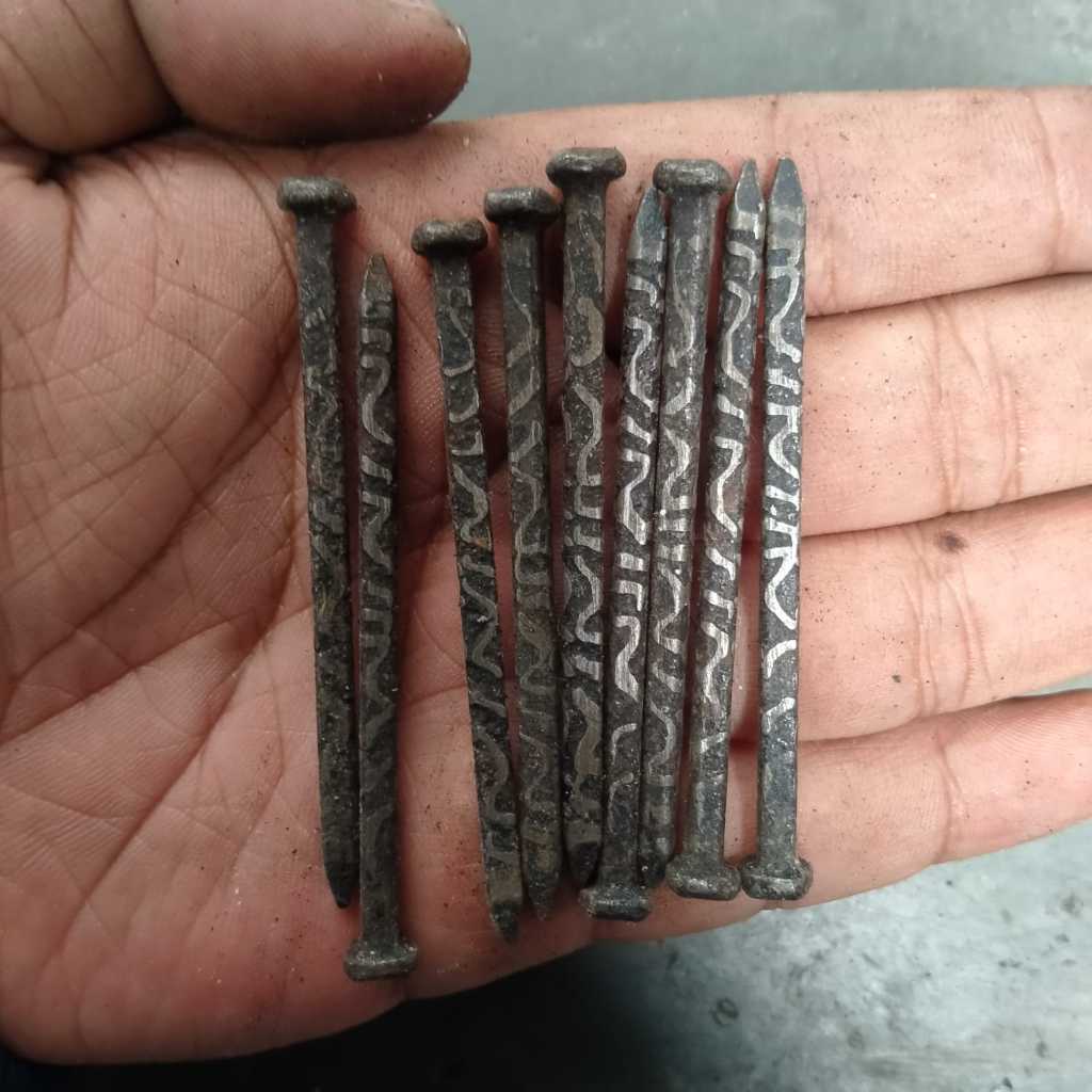 Paku bumi @rajah3 hitam