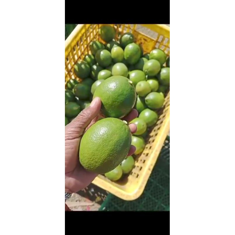 

LEMON California FRESH