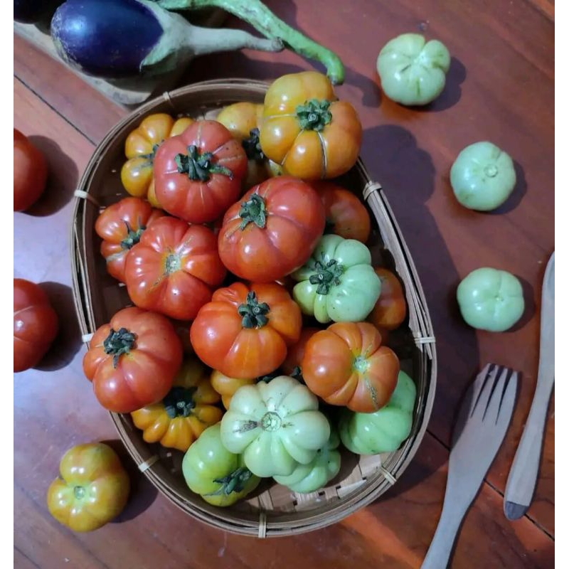 

#Tomat Ranti#Tomat Mawar#Tomat Keriting Khas Banyuwangi 1/2 Kg