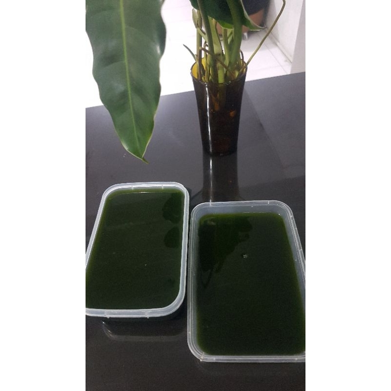 

Cicau Hijau ukuran 1000 ml proses dijamin higienis..