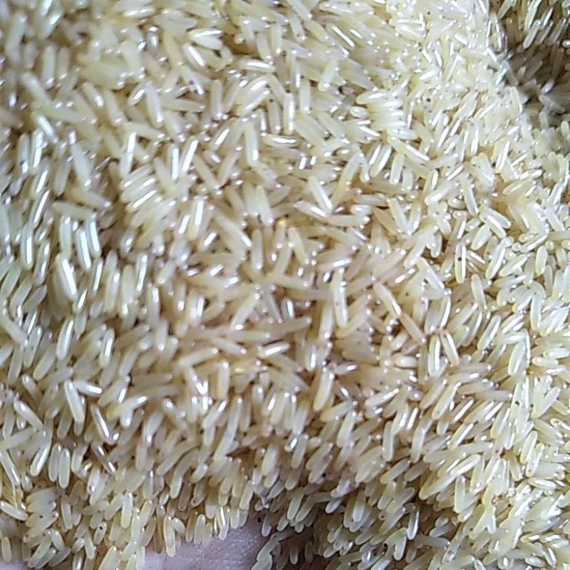 TELUR JANGKRIK ALAM HITAM|TELUR JANGKRIK ALAM