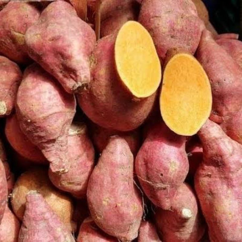 

Ubi jalar Oren 1kg