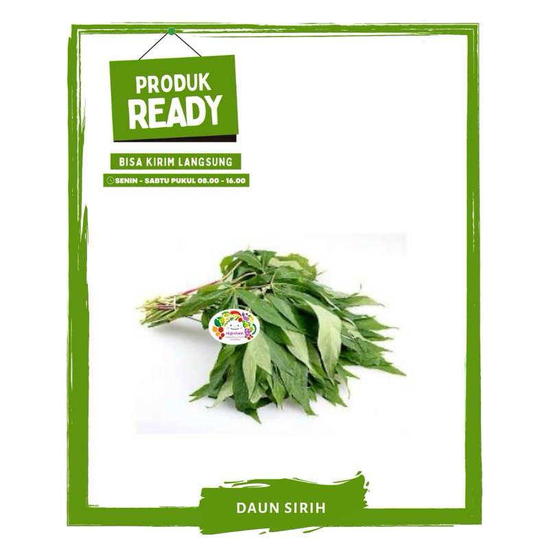 

Daun Singkong Tanah / Sayur Sayuran Segar Ready On Mallahrizwa