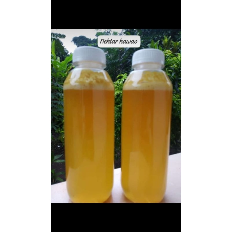 

madu murni 100 persen