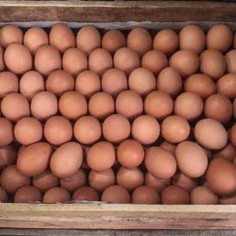 

Telur Ayam Negeri Curah Per Peti/Per Ikat @ 15 kg