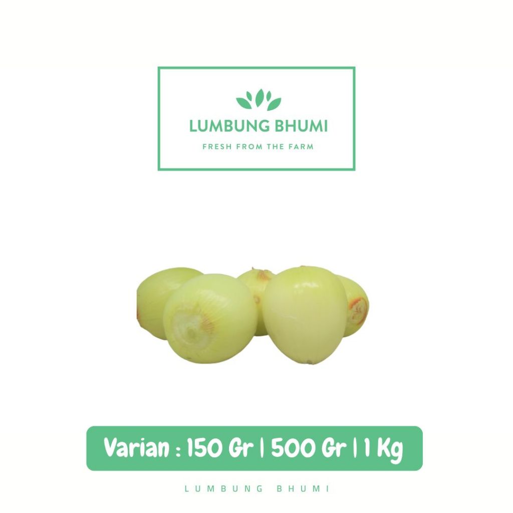 

Bawang Bombay Kupas Sayur - Lumbung Bhumi