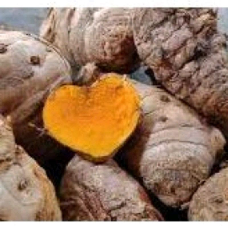 

TEMU LAWAK SEGAR 1 KG