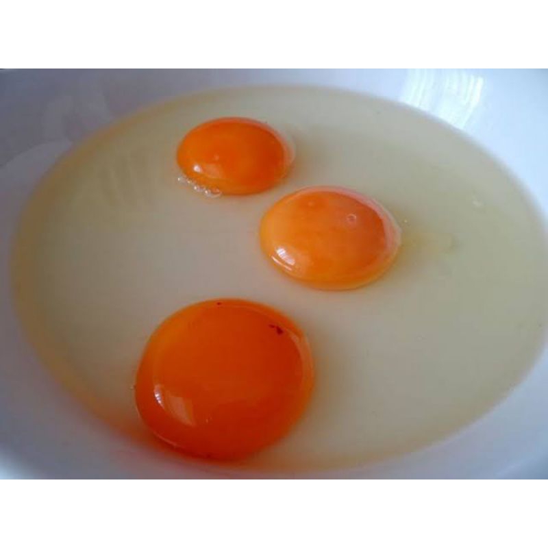 

Telur bebek asli fres kandang paket 10 butir