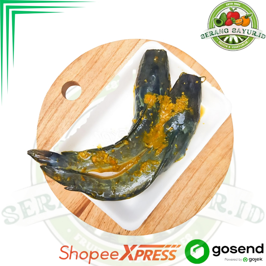 

LELE BUMBU KUNING ISI 2 EKOR