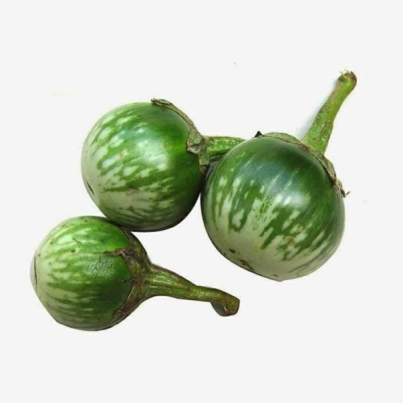 

Terung lalap bulat 250 gram