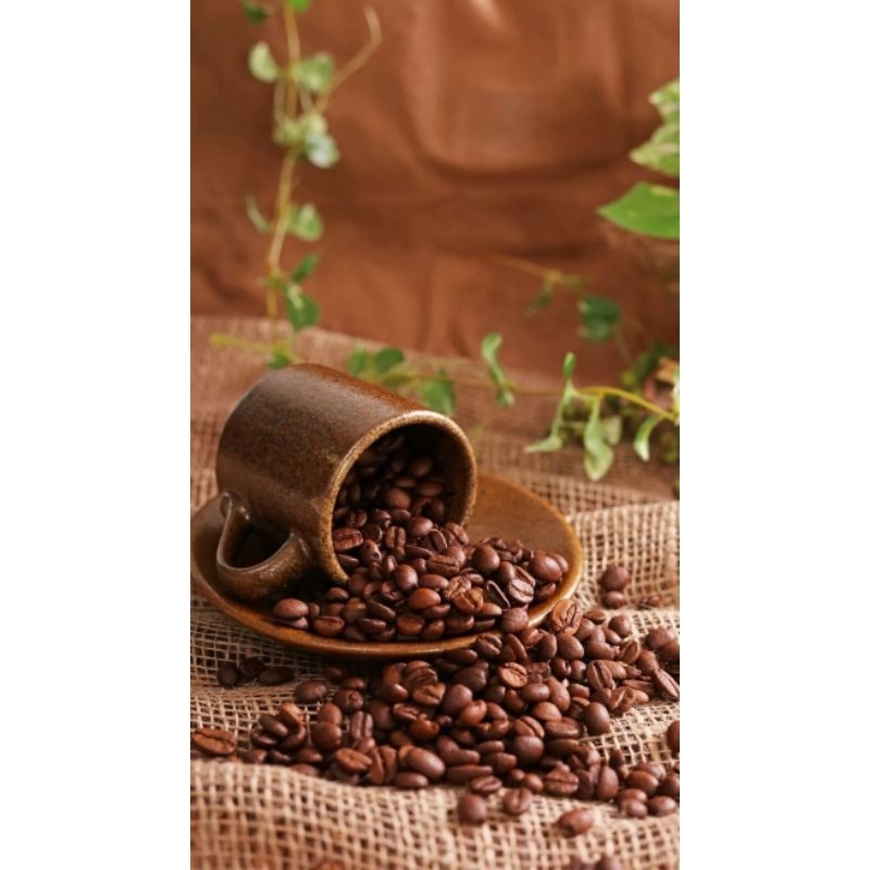 

Biji Kopi Robusta Roasting 1Kg