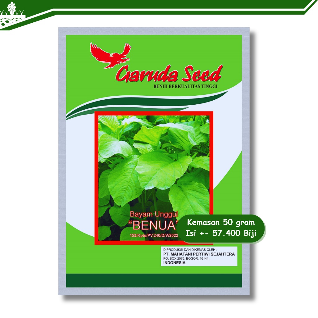 Benih bayam hijau unggul benua garudaseed 50 gram bayem cabut potong hidroponik