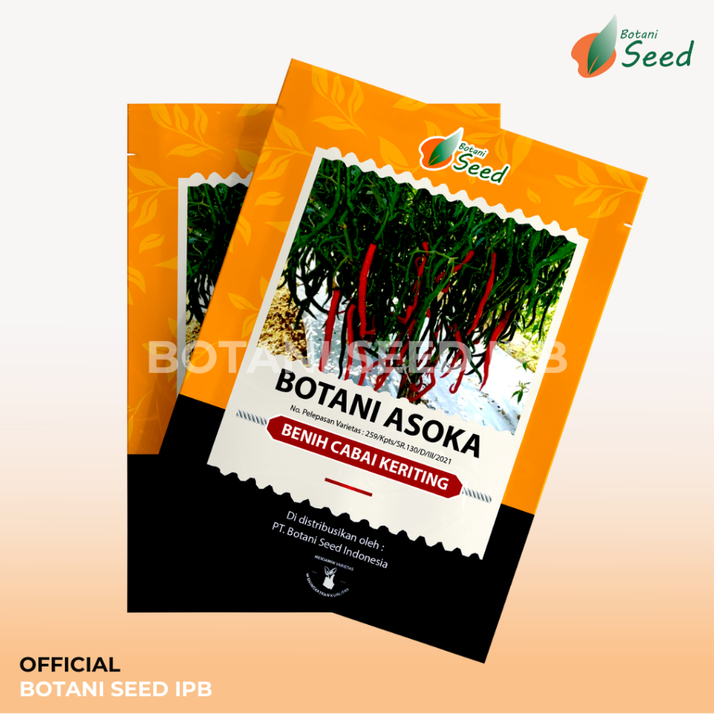 Benih cabe merah keriting asoka botani seed IPB