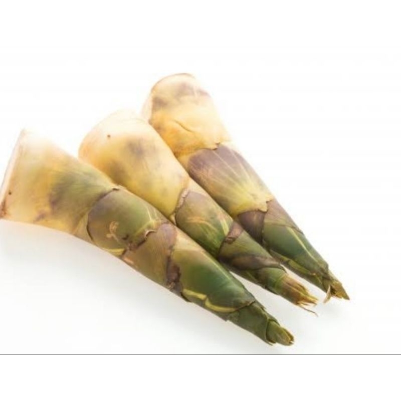 

Rebung bambu kuning segar 1 kg
