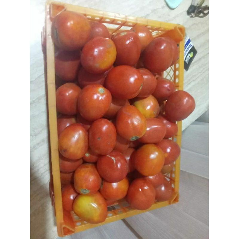 

TOMAT 500gr