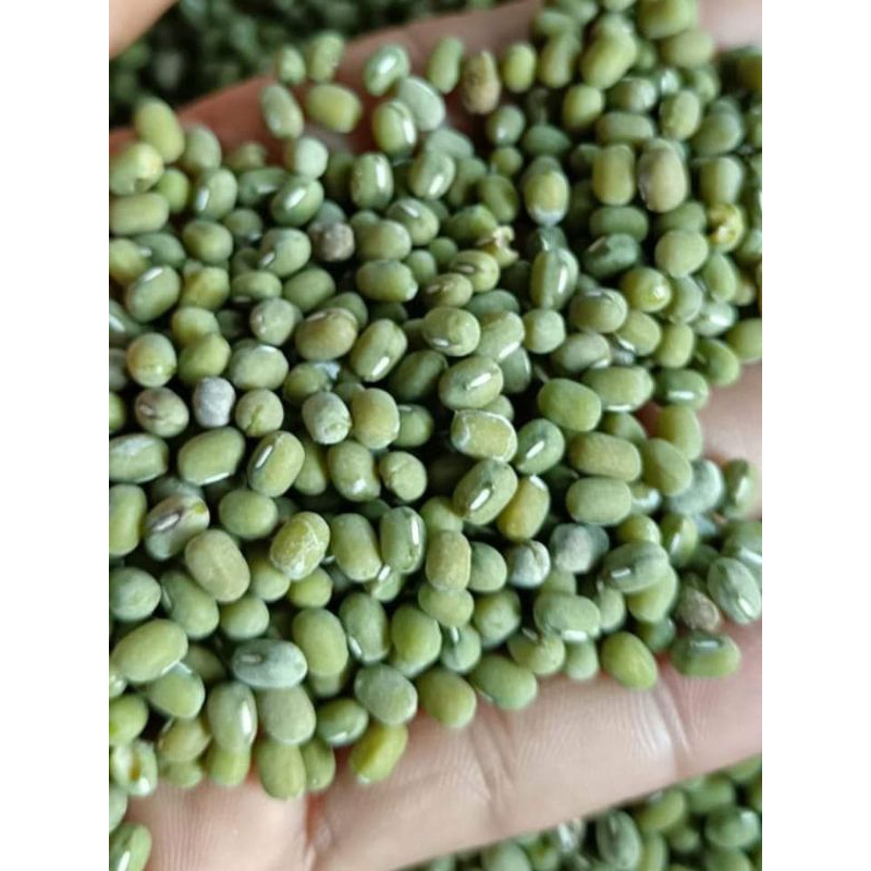 

KACANG HIJAU 1KG KACANG HIJAU SUPER