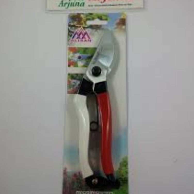 

Gunting Bunga Alisan 13 k A1R7