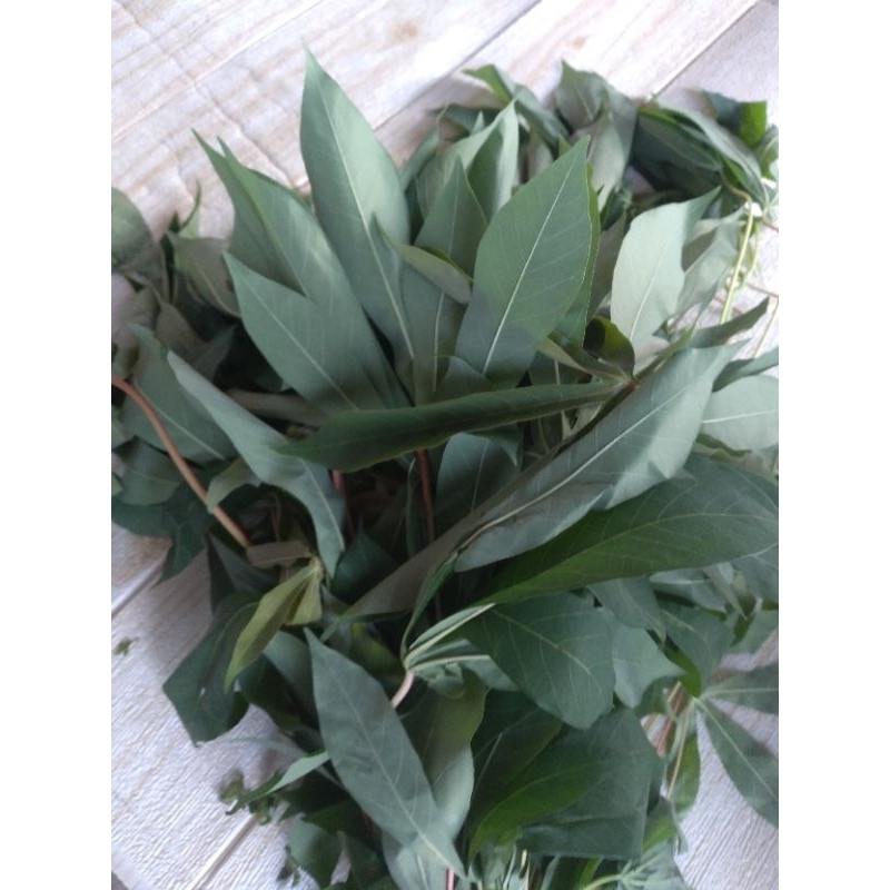 Daun Singkong Batang Putih 1 Ikat
