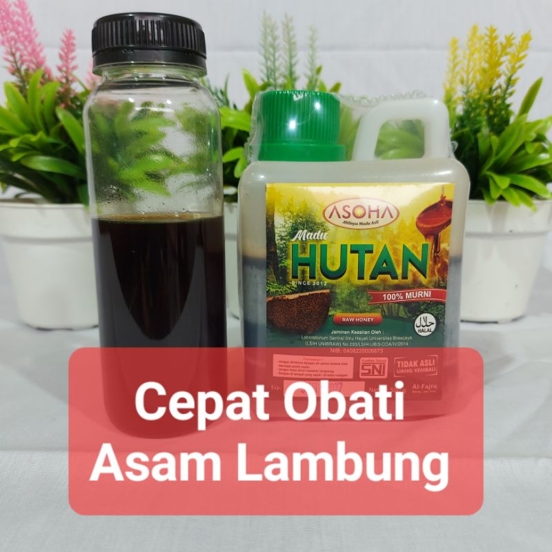 

ASOHA Madu Hutan Liar Jambi Sumatera 1/2kg / NO TIPU-TIPU / Raw Honey / tdk kristal dikulkas / Madu Asli / Madu Murni / Obati Asam Lambung