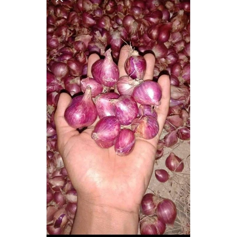 

BAWANG MERAH 250GRAM
