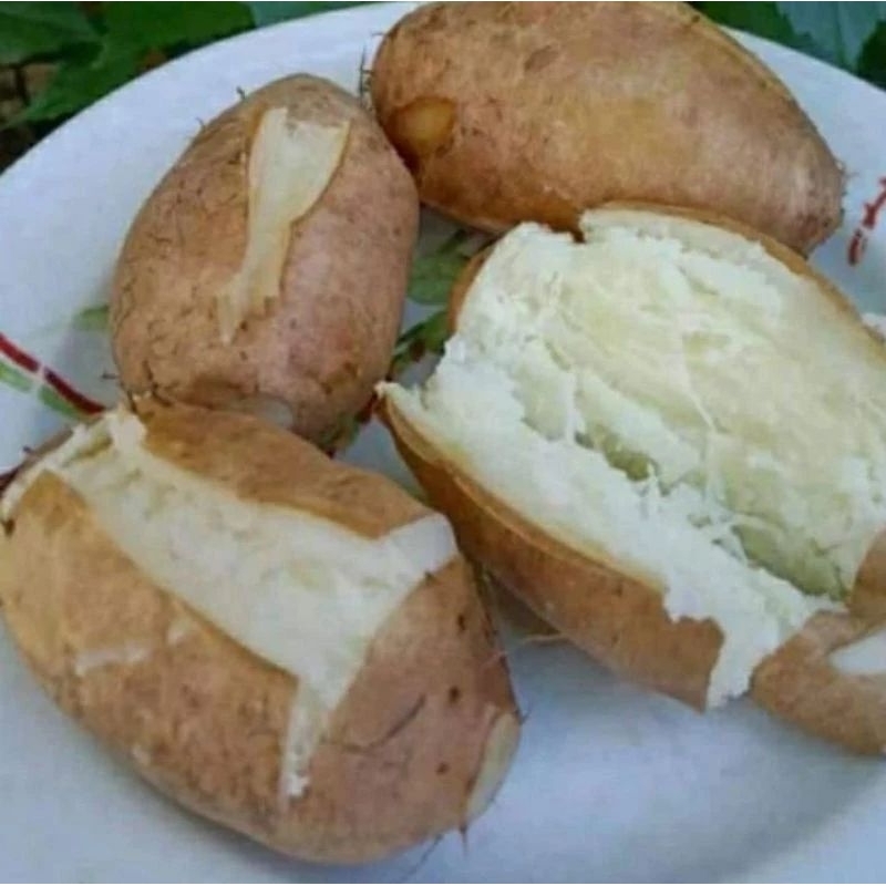 Umbi Gembili / Umbi Gembili Ketan Terlaris ( 500gram )
