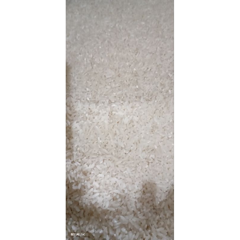 

Beras SLYP DELANGGU CAP KUPU Pusaka Jaya Murah