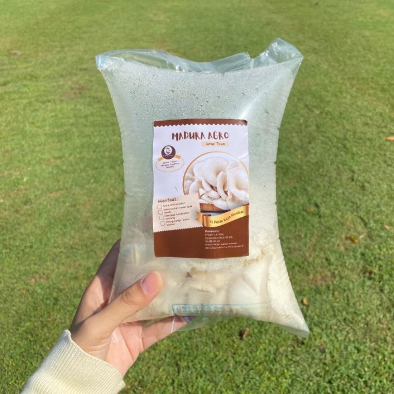 

Jamur Tiram Madura Agro 100g