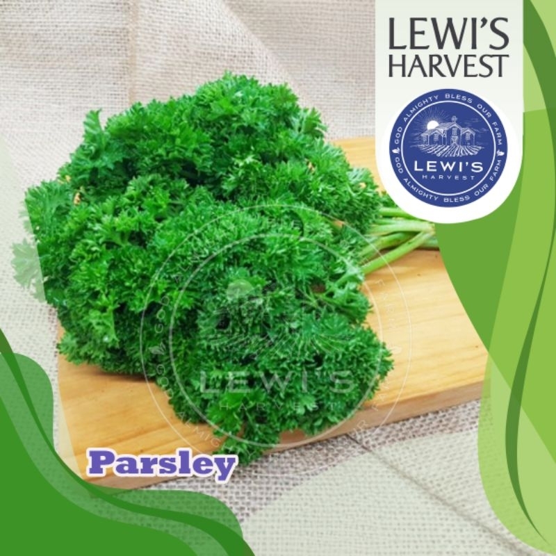 

PARSELY SEGAR 500 g / Herb Fresh / Sayur Segar